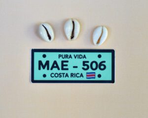Sticker Placa Mae 506