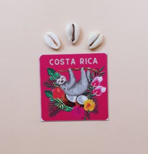 Costa Rica Perezoso