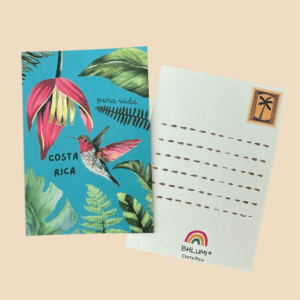 Tarjeta Postal Colibri