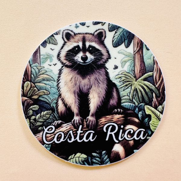 Sticker Mapache Costa Rica