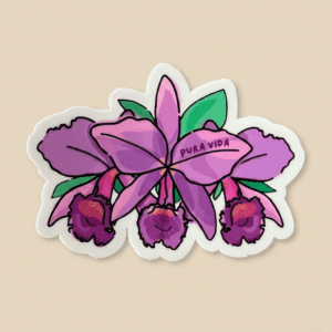 Sticker Guaria morada