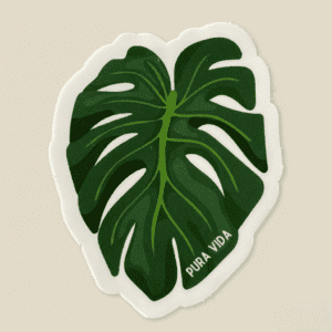 Sticker monstera