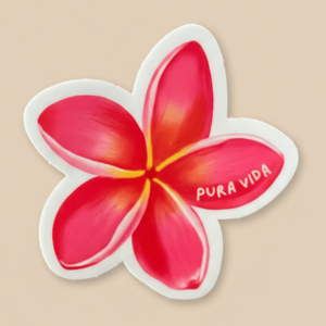 Sticker frangipani flor