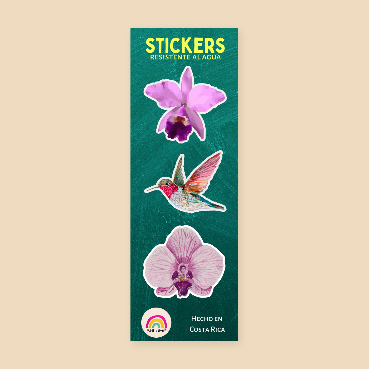 Set de Sticker Colibri