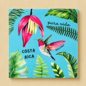 Iman Colibri